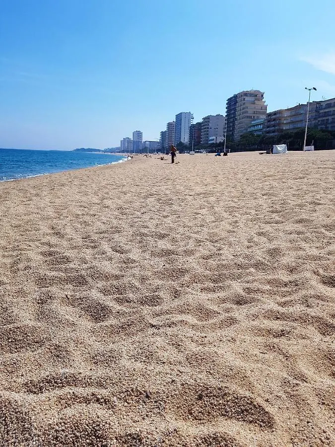 Seaside Terrace Apartment: Beachfront Living with City Views Platja d'Aro Apartment